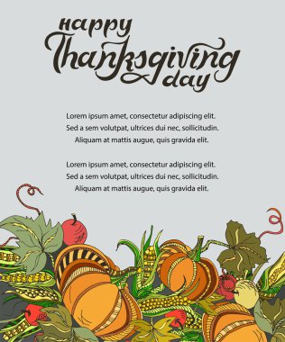 Şablon pumpkins, Mısır ve elma ile. Mutlu Şükran günü tebrik kartı, davet, web için yazı el yazısı. Vektör çizim.