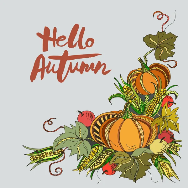 Letras Manuscritas Hello Autumn Com Abóboras Isoladas Fundo Lettering Warm —  Vetores de Stock