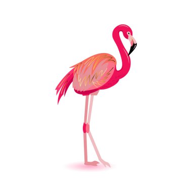 Pembe flamingo vektör çizim. Beyaz arka plan üzerinde izole tasarım öğesi.
