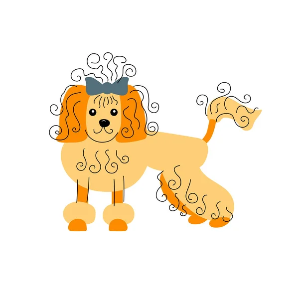 Ilustração Vetorial Cão Poodle Estilo Esboço Desenhado Mão Elemento Projeto — Vetor de Stock