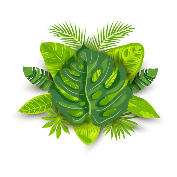 Tropische Exotische Blätter Vektor Illustration Isoliert Auf Weißem Hintergrund Designelement — Stockvektor