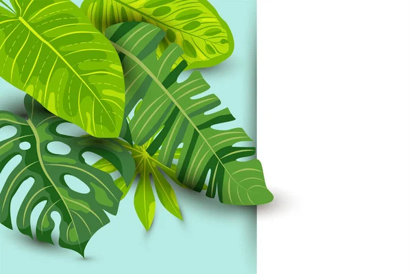 Fondo Tropical Verano Verde Con Hojas Exóticas Hoja Papel Lugar — Vector de stock