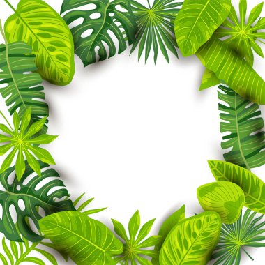 Tropikal egzotik yaprakları vektör illüstrasyon beyaz arka plan üzerinde izole. Metin için yer. Poster, web, el ilanları, parti davetiyesi, kartpostal, mevsimlik satış, ekolojik konsept için vektör illüstrasyon.