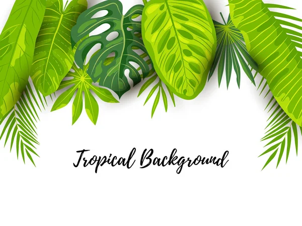 Fondo Tropical Verano Verde Con Hojas Exóticas Lugar Para Texto — Vector de stock