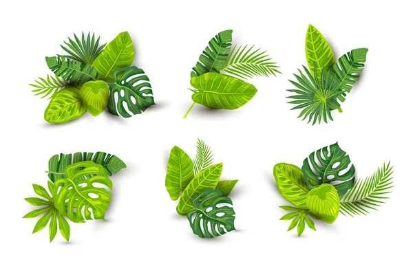 Tropische Exotische Blätter Vektor Illustrationen Gesetzt Isoliert Auf Weißem Hintergrund — Stockvektor