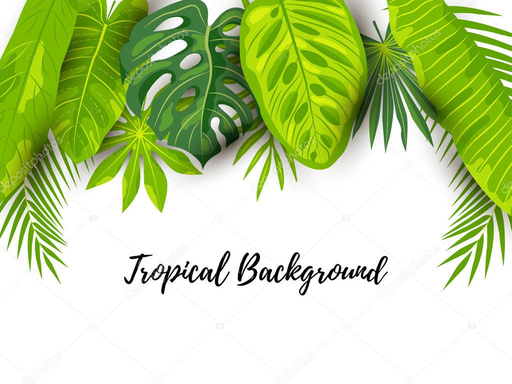 Green summer tropical background with exotic leaves. Place for text. Vector illustration for poster, web, flyer, party invitation, sale, ecological concept. Border  isolated on white background.