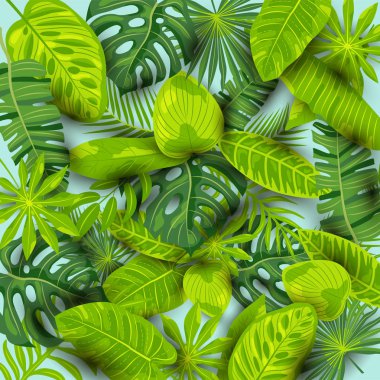 Egzotik yaprakları ile Yeşil yaz tropikal arka plan. Afiş, arka plan, poster, web, davetiye, ekolojik kavram için vektör illüstrasyon.