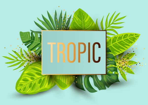 Zielone Lato Tropikalne Tło Egzotycznymi Liśćmi Miejsce Tekst Ilustracja Wektorowa — Wektor stockowy