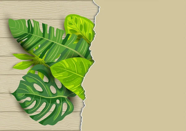 Tropischen Exotischen Blättern Auf Holz Strukturierten Hintergrund Mit Papierblatt Platz — Stockvektor
