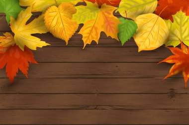 Koyu ahşap arka planda düşen yaprakları ile sonbahar arka plan. Metin için yerleştirin. Parti daveti, mevsimlik satış, düğün, Web, Sonbahar Festivali, poster için harika. Vektör Illustration.