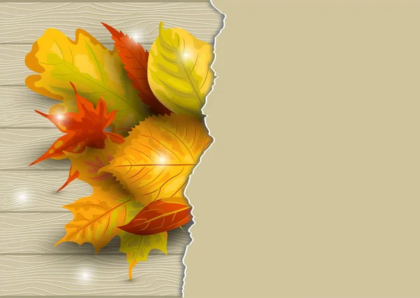 Fond Automne Avec Feuilles Tombantes Sur Fond Bois Avec Feuille — Image vectorielle