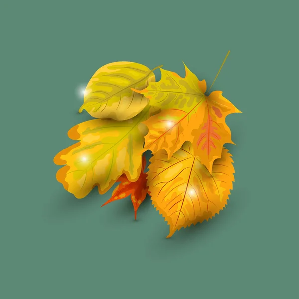 Autunno Caduta Foglie Vettoriale Illustrazione Isolata Sfondo Elemento Design Con — Vettoriale Stock