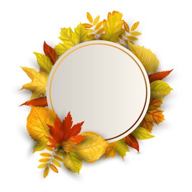 Düşen yaprakları ile sonbahar arka plan. Metin için yerleştirin. Vektör Illustration için Flyer, parti davetiye, mevsimlik satış, düğün, Web, Sonbahar Festivali. Beyaz arka planda yalıtılmış tasarım öğesi.