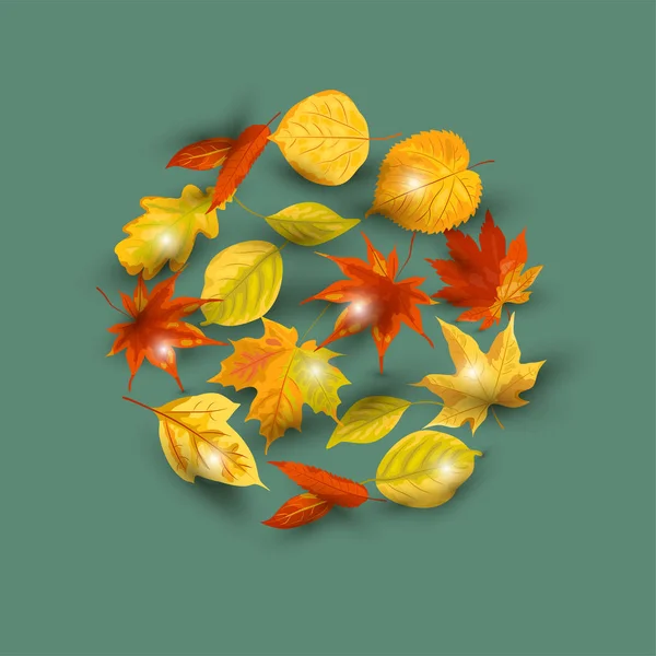 Automne Chute Feuilles Vectorielles Illustration Isolée Sur Fond Elément Design — Image vectorielle