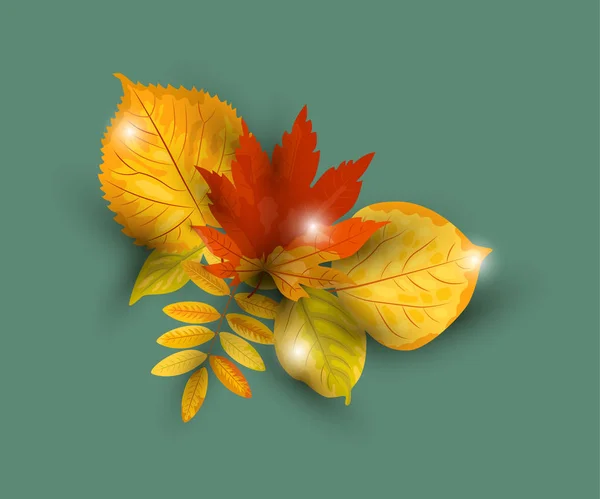 Automne Chute Feuilles Vectorielles Illustration Isolée Sur Fond Elément Design — Image vectorielle