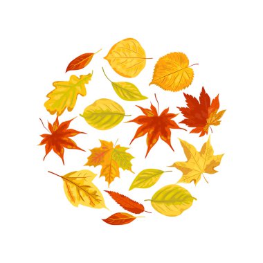 Sonbahar düşen vektör illüstrasyon arka planda izole bırakır. Poster, web, el ilanları, davetiye, kartpostal, Mutlu Şükran günü için tasarım öğesi. Daire kavramı. Düz stil tasarımı.