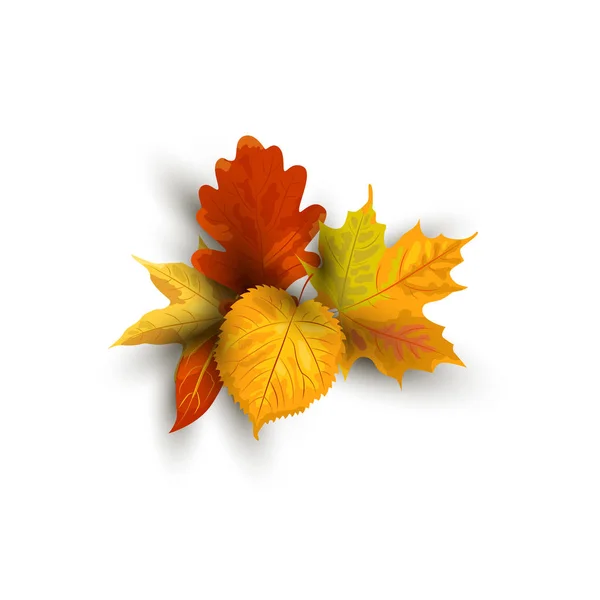 秋の落ち葉ベクトルイラストは 白い背景に隔離されています ポスター ウェブ チラシ 招待状 はがき 感謝祭の日に影を持つデザイン要素 — ストックベクタ