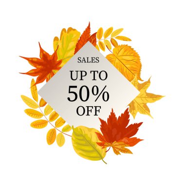 Düşen yaprakları ile Sonbahar satış afiş. Metin için yer. Sonbahar festivali, poster, web, davetiye, el ilanı, Mutlu Şükran, mevsimlik satış için Şablon. Beyaz arka planda yalıtılmış vektör çizimi.