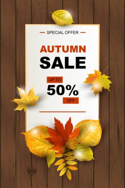 Kağıt levha ile ahşap arka plan üzerinde düşen yaprakları ile Sonbahar satış afiş. Metin için yer. Sonbahar festivali, poster, web, davetiye, el ilanı, Mutlu Şükran günü için Şablon. Vektör çizimi.