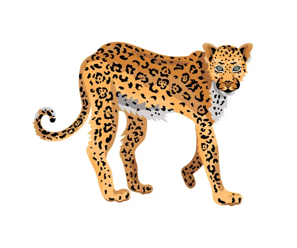 Леопард Дикая Кошка Рисунок Дизайн Отпечаток Футболки Наклейка Векторная Иллюстрация — стоковый вектор