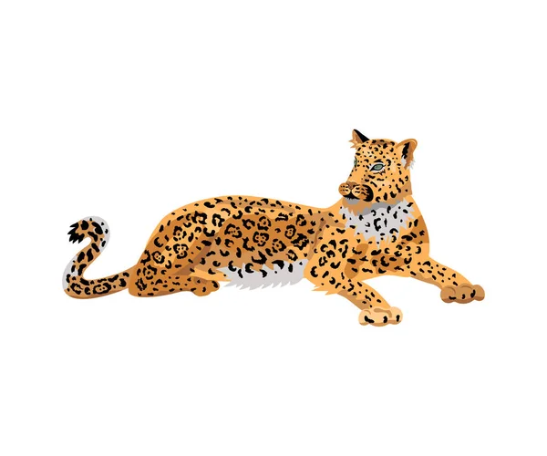 Leopardo Gato Salvaje Para Patrón Diseño Impresión Camiseta Pegatina Ilustración — Vector de stock