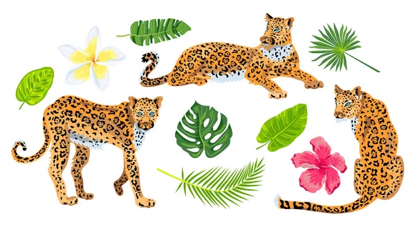 Leopardo Folhas Tropicais Plumeria Flor Exótica Conjunto Hibiscos Design Para — Vetor de Stock