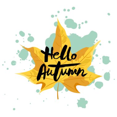 Merhaba sonbahar bayrağı ve akçaağaç yaprağı. El yazısıyla Hello Autumn. Mesaj için yer. Vektör illüstrasyonu.