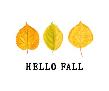 Sonbahar yapraklı sonbahar pankartı. Vektör illüstrasyonu.