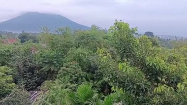 Dağların güzel manzarası