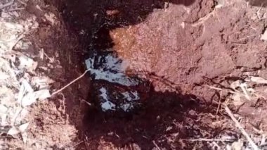 Parktaki adam yerde çalışıyor.