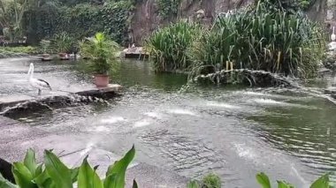 Barselona şehrinin manzarası