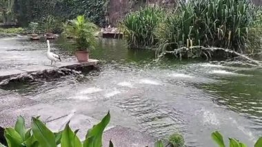 Parkın güzel manzarası