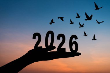 İş adamının silueti 2026 'yı turuncu gün batımına karşı tutuyor. Umut, başarı, yeni başlangıçlar ve gelecek yıl yeniden başlamayı temsil ediyor.