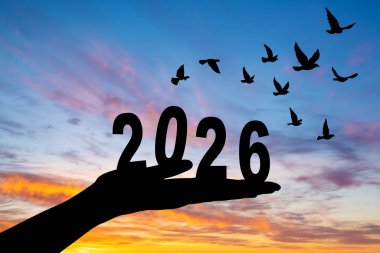 İş adamının silueti 2026 'yı turuncu gün batımına karşı tutuyor. Umut, başarı, yeni başlangıçlar ve gelecek yıl yeniden başlamayı temsil ediyor.