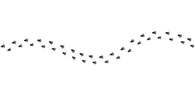 Islak ya da çamurlu tavşan ayak izleri. Tavşan pençesi siluet pulları. Beyaz arka planda koşan ya da yürüyen tavşan izleri izole edilmiş. Vektör grafik illüstrasyonu.