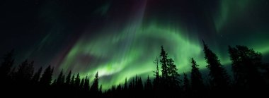 Igloo kış ormanında Aurora Borealis ile inanılmaz yıldızlı gökyüzünün arka planına karşı. Kış dağlarında kuzey ışıkları. Parlayan kutup ışıkları ve buzhane ile kış sahnesi. Noel kartpostalı