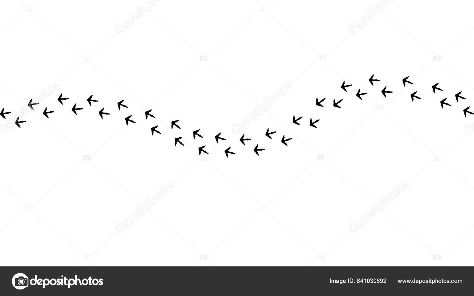 Immagini e foto stock di Impronta anatra | DepositPhotos, image size:1600x1000