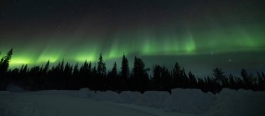 Colorful Aurora borealis northern lights. A breathtaking view of the Northern lights or aurora borealis in Lapland, Finland