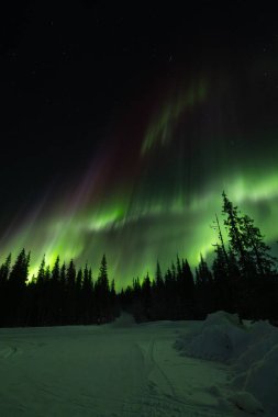 Colorful Aurora borealis northern lights. A breathtaking view of the Northern lights or aurora borealis in Lapland, Finland
