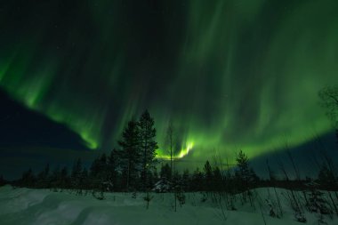 Colorful Aurora borealis northern lights. A breathtaking view of the Northern lights or aurora borealis in Lapland, Finland