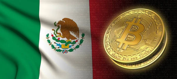 National Crypto Stok Foto National Crypto Gambar Bebas Royalti Depositphotos