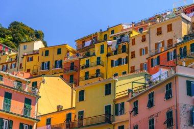 Manarola, İtalya - 29 Nisan 2017 - Cinque Terre Milli Parkı içindeki ünlü Manarola kasabasındaki bazı renkli evlerin görünümü.