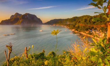 Arka planda El Nido Kasabası olan sarı çiçek