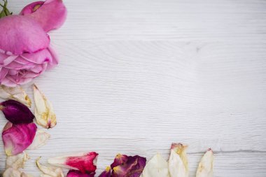 Yaprakları ile Çerçeve