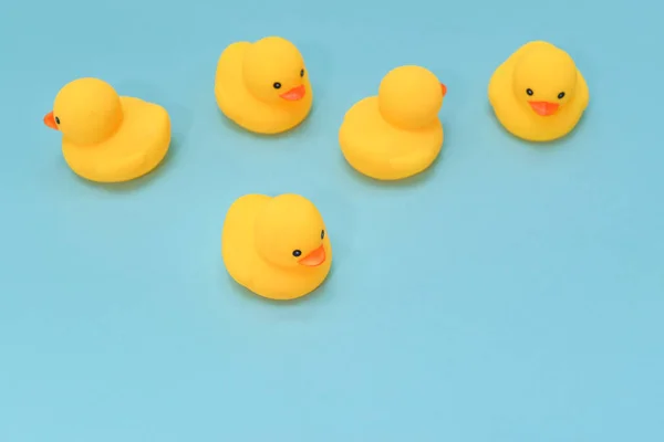 Καμία Έννοια Κατεύθυνση Ducky Ελαστικό Είναι Κολύμπι Διαφορετική Κατεύθυνση — Φωτογραφία Αρχείου