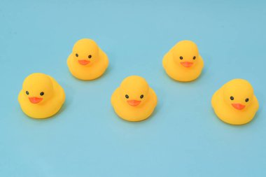 Disiplin kavramı, lastik ördek astar aynı yönde yukarı bakacak şekilde