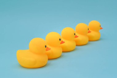 Disiplin kavramı, lastik ördek astar aynı yönde yukarı bakacak şekilde