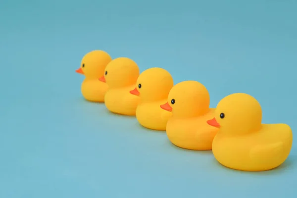 Έννοια Της Πειθαρχίας Ducky Ελαστικό Είναι Επένδυση Που Αντιμετωπίζουν Την — Φωτογραφία Αρχείου