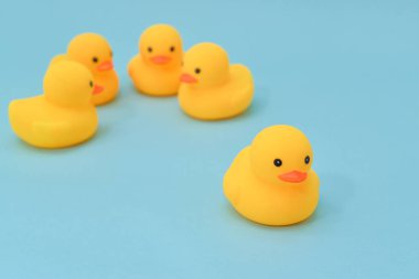 Yalıtım, plastik ördek bir gruptan ayrılmış bir kavramdır