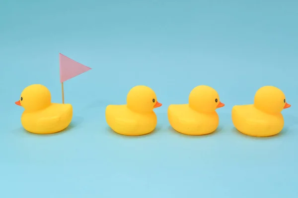 No direction concept, rubber ducky are swimming in the different direction